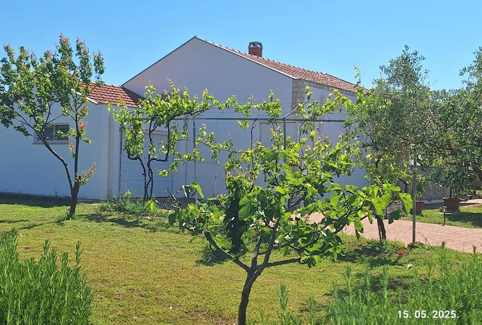 Villa Arbor Countryside Oasis Biograd Na Moru