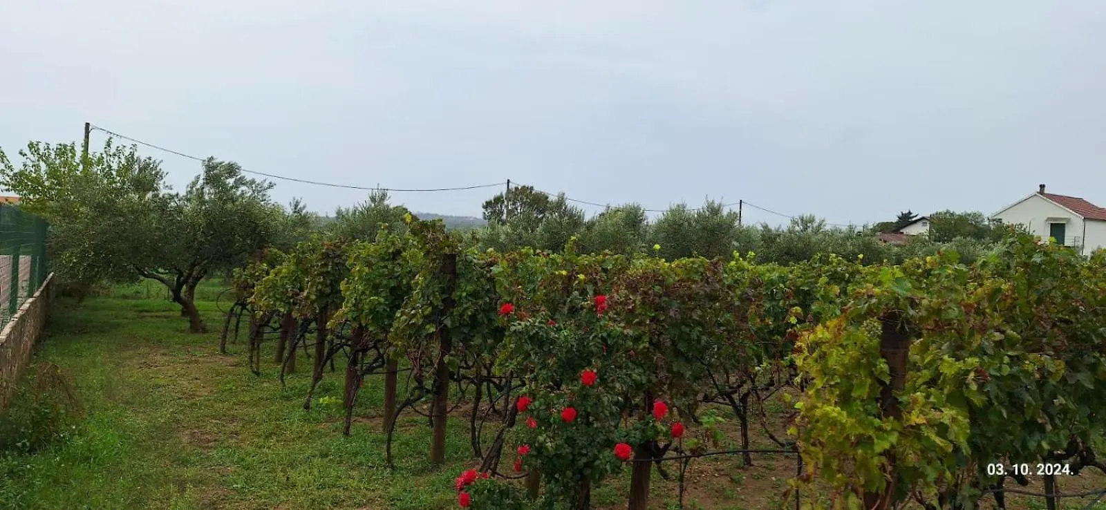 Holiday home Arbor Countryside Oasis Villa Biograd Na Moru Croatia