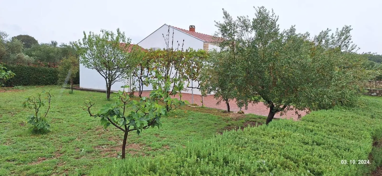 Arbor Countryside Oasis Villa Biograd Na Moru Croatia